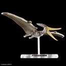 PLANNOSAURUS