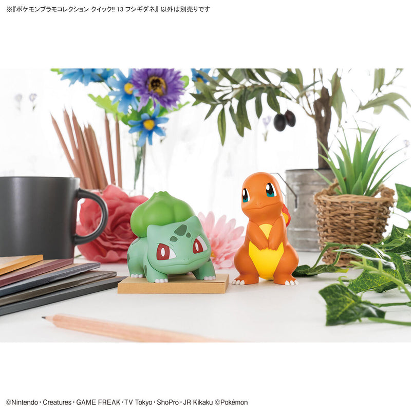Pokémon Model Kit QUICK!!