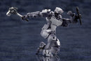 Hexa Gear Governor Para - Pawn Sentinel Ver.1.5