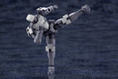 Hexa Gear Governor Para - Pawn Sentinel Ver.1.5