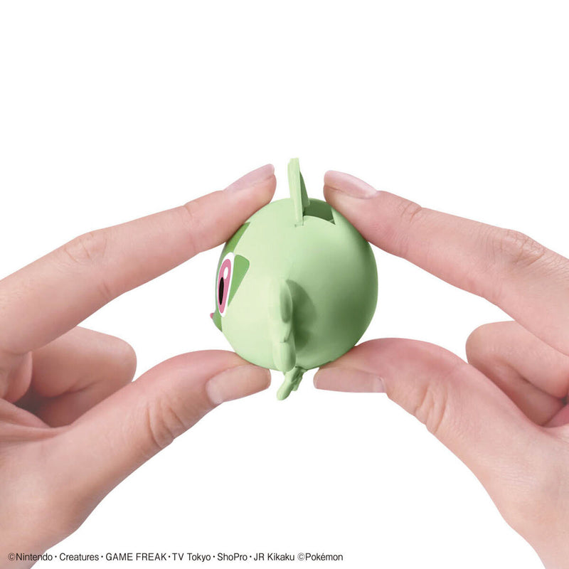 Pokemon Model Kit QUICK!!