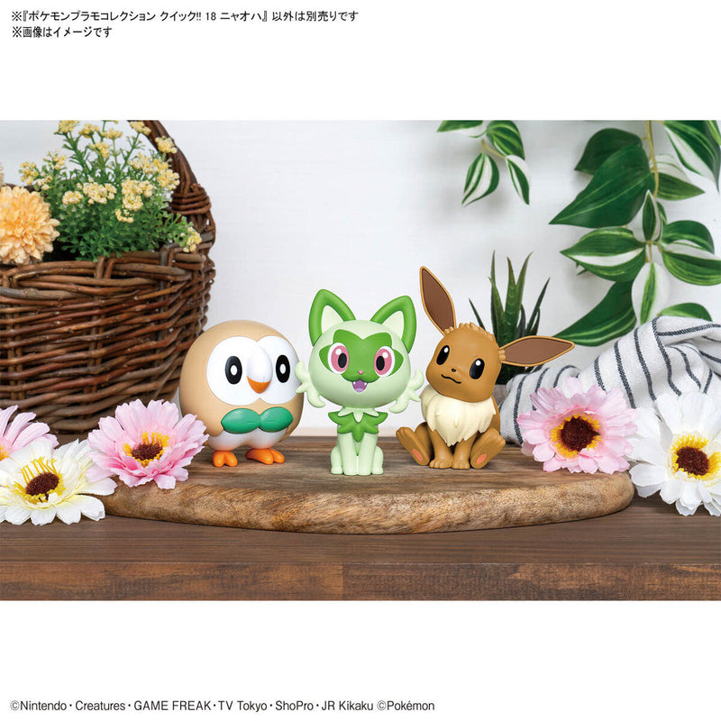 Pokemon Model Kit QUICK!!