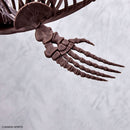 PRE-ORDER: 1/32 Imaginary Skeleton Mosasaurus