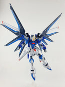 Delpi Decal - HG Rising Freedom Water Decal