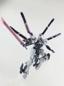 Delpi Decal - HG Schwarzette Water Decal