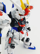 Delpi Decal - MGSD Freedom Water Decal (2 Types)