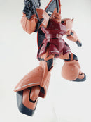 Delpi Decal - MG Gelgoog Delpi Custom Water Decals