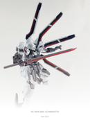 Delpi Decal - HG Schwarzette Water Decal