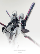 Delpi Decal - HG Schwarzette Water Decal