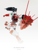 Delpi Decal - MG Sengoku Astray Water Decal