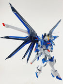 Delpi Decal - HG Rising Freedom Water Decal