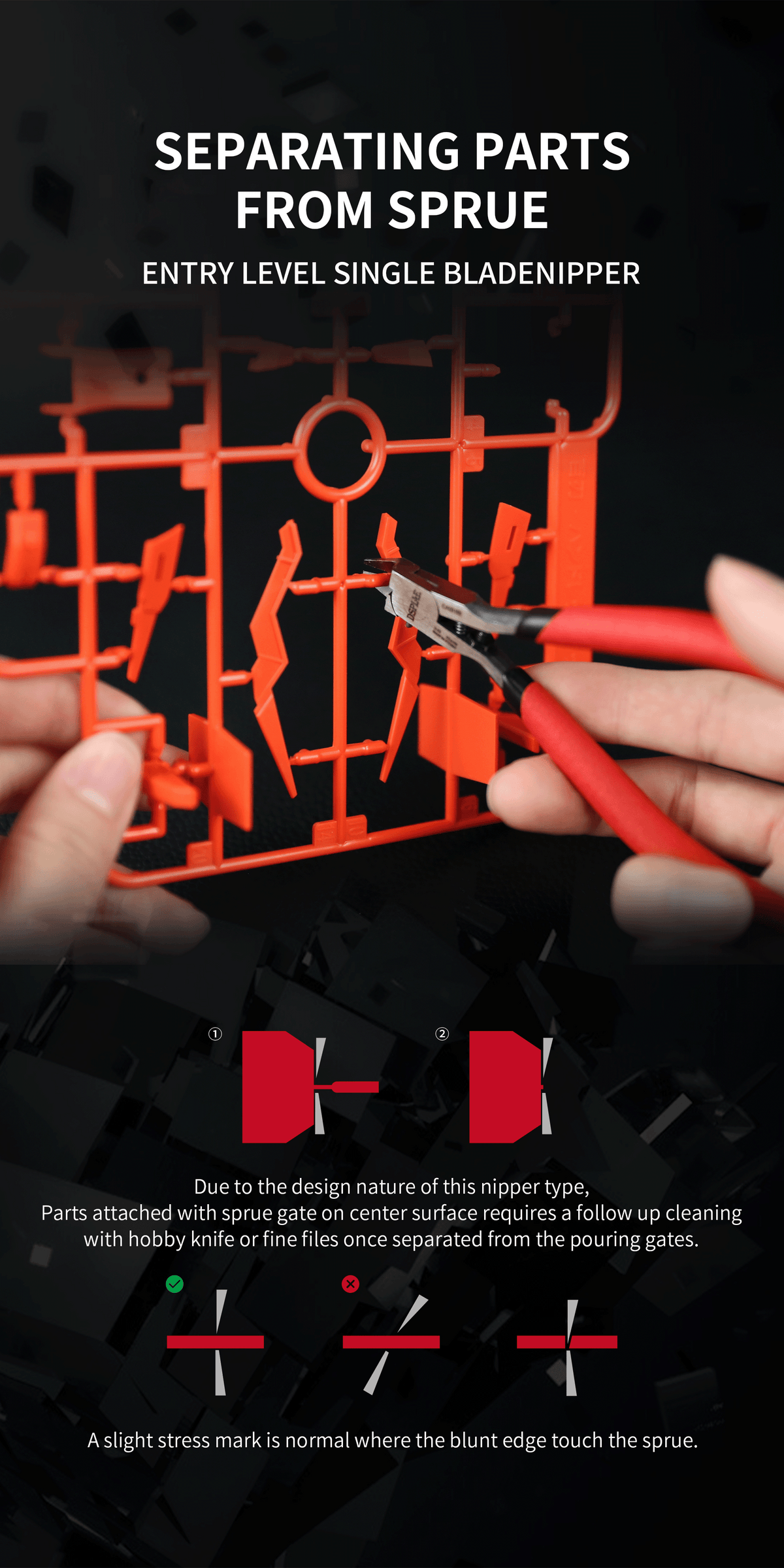 2_1_f5a5f8dc-8fe5-4d63-80f4-