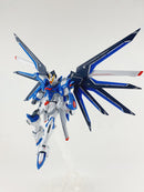 Delpi Decal - HG Rising Freedom Water Decal