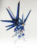 Delpi Decal - HG Rising Freedom Water Decal