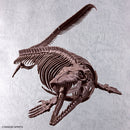 PRE-ORDER: 1/32 Imaginary Skeleton Mosasaurus