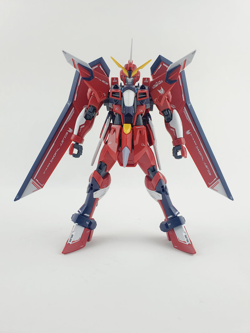 Delpi Decal - HG Immortal Justice Water Decal