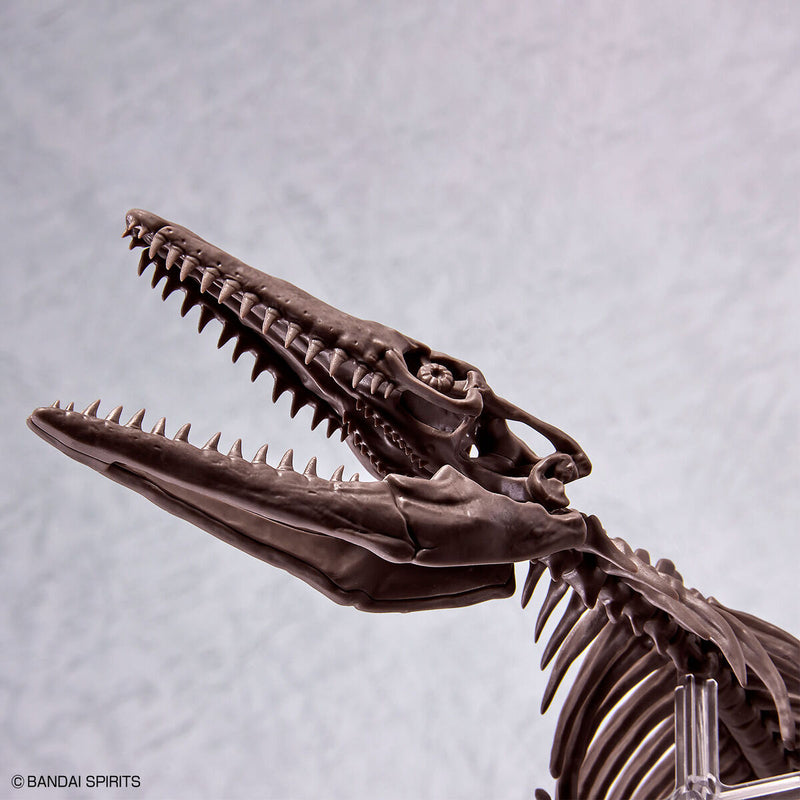 PRE-ORDER: 1/32 Imaginary Skeleton Mosasaurus