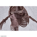PRE-ORDER: 1/32 Imaginary Skeleton Mosasaurus
