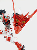 Delpi Decal - MG Sengoku Astray Water Decal