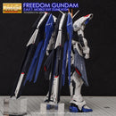 G-REWORK - Custom Decal - [MG] Freedom Gundam 2.0