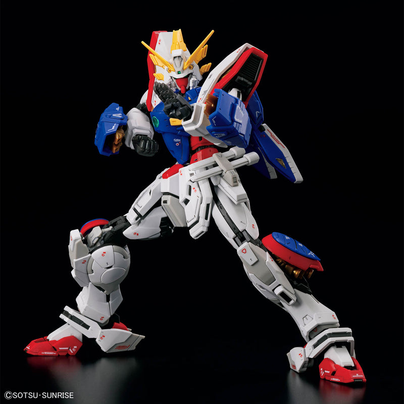 RG 1/144