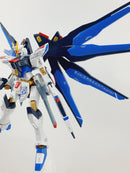 Delpi Decal - HGCE STRIKE FREEDOM WATER DECAL (2 Types)