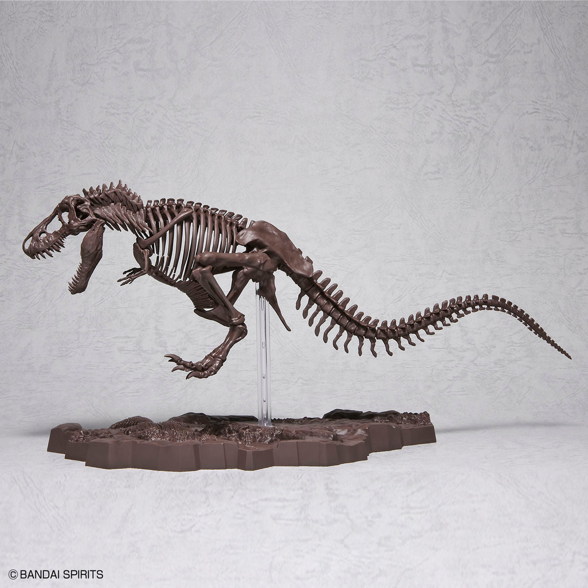 木彫 Tyrannosaurus rex 1/10 全身骨格模型 約97cm