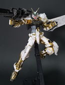 Delpi Decal - MG Gold Frame White & Holo Water Decal