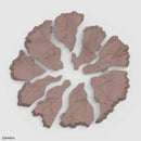 Figure-Rise Effect Ground Effect