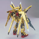 1/100 Seed Destiny