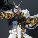 Delpi Decal - MG Gold Frame White & Holo Water Decal