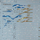 Delpi Decal - MG Freedom 2.0 Water Decal (4 Types)