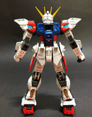 Delpi Decal - RG Build Strike Full Package Water Decal