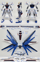 Delpi Decal - HGCE FREEDOM WATER DECAL (2 Types)