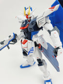 Delpi Decal - HGCE FREEDOM WATER DECAL (2 Types)