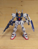 Delpi Decal - RG Mk-II AEUG Water Decal