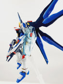 Delpi Decal - HGCE STRIKE FREEDOM WATER DECAL (2 Types)