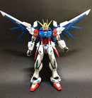 Delpi Decal - RG Build Strike Full Package Water Decal