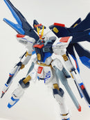 Delpi Decal - HGCE STRIKE FREEDOM WATER DECAL (2 Types)