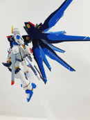 Delpi Decal - HGCE STRIKE FREEDOM WATER DECAL (2 Types)