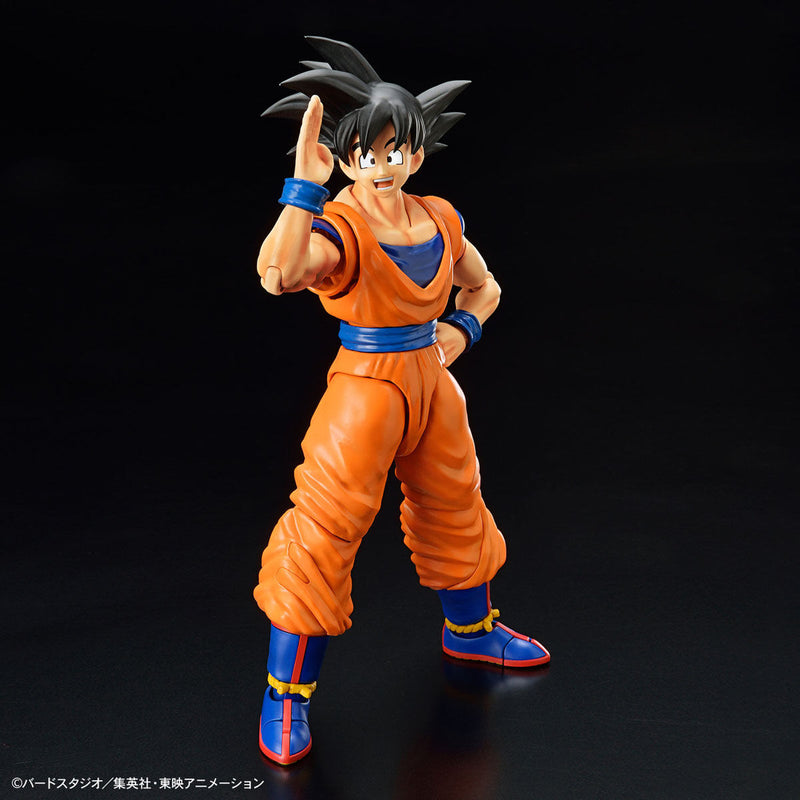 Entry Grade Model Kit Super Saiyan God Son Goku