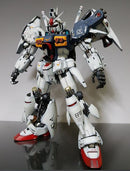 Delpi Decal - PG GP01/FB Zephyranthes + Full Burnern WATER DECAL