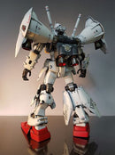 Delpi Decal - PG GP01/FB Zephyranthes + Full Burnern WATER DECAL