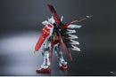 Delpi Decal - MG Aile Strike Ver. RM Water Decal (2 Types)