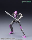 Frame Arms 1/100 Frame Arms Architect Type-001 <GUNMETAL>:RE2