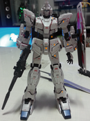 Delpi Decal - RG Unicorn Water Decal (2 Types)