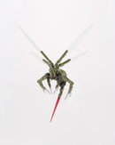 Hexa Gear Alternative Messer Float