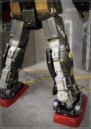 Delpi Decal - HG Psycho Water Decal