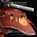 G-REWORK - Custom Decal - [HG] NIGHTINGALE