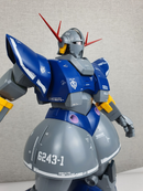 Delpi Decal - MG PERFECT ZEONG GOLD HOLO WATER DECAL